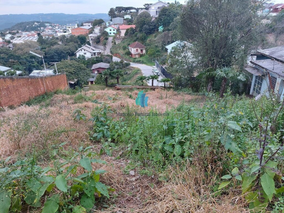 Imagem Terreno à Venda, 510 m² em Botafogo - Bento Gonçalves Imagem Terreno à Venda, 510 m² em Botafogo - Bento Gonçalves
