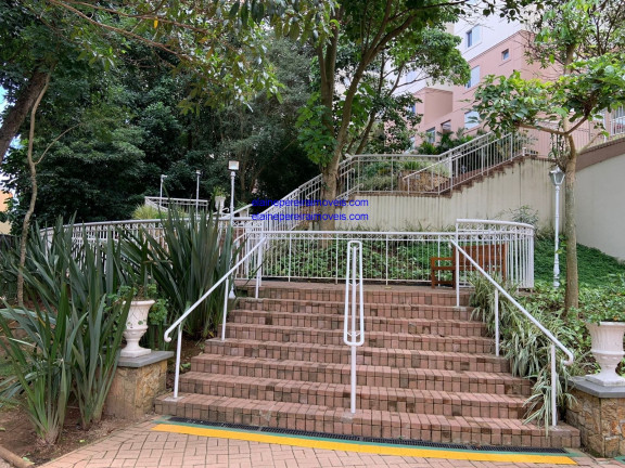 Imagem Imóvel com 4 Quartos à Venda, 192 m² em Jardim Arpoador - São Paulo