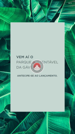 Imovel