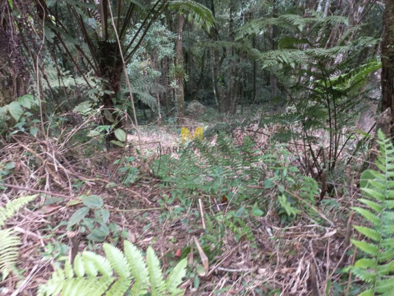 Imagem Chácara à Venda, em Recreio Da Serra - Piraquara Imagem Chácara à Venda, em Recreio Da Serra - Piraquara