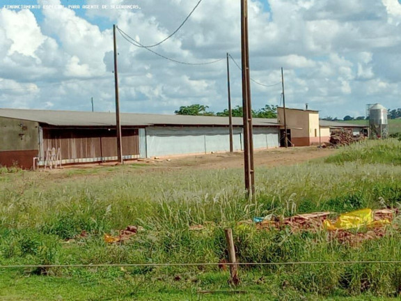 Imagem Chácara com 4 Quartos à Venda, 70.180 m² em Zona Rural - Flórida Imagem Chácara com 4 Quartos à Venda, 70.180 m² em Zona Rural - Flórida