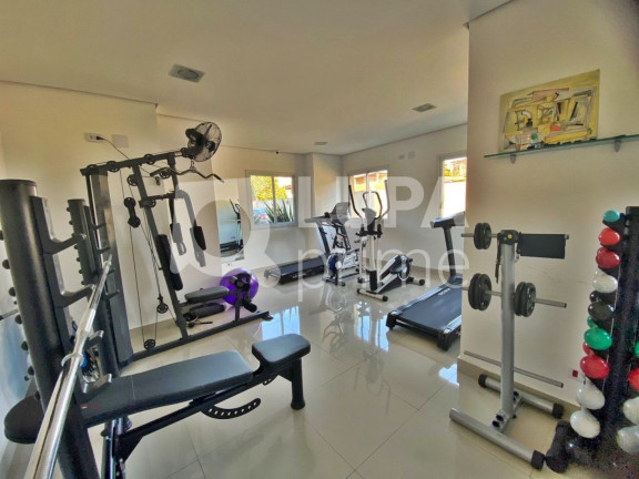 Imagem Apartamento com 2 Quartos à Venda, 60 m² em Vila Ede - São Paulo Imagem Apartamento com 2 Quartos à Venda, 60 m² em Vila Ede - São Paulo