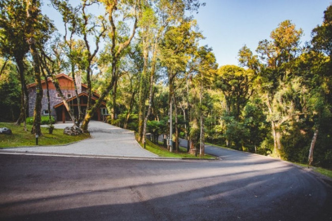 Imagem Casa de Condomínio com 4 Quartos à Venda, 389 m² em Centro - Gramado