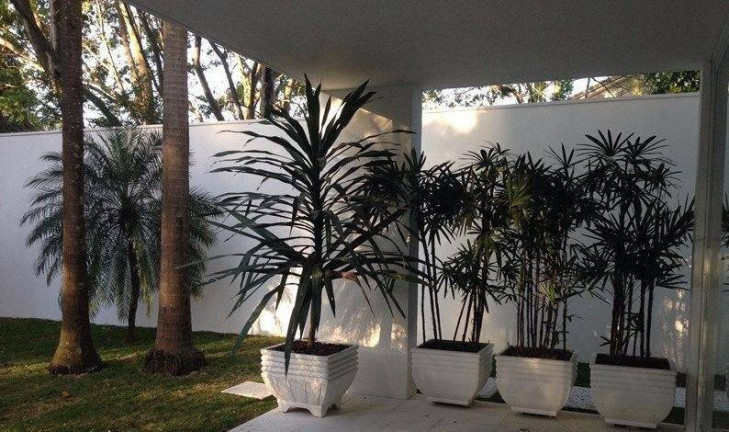 Imagem Casa com 4 Quartos à Venda, 850 m² em Jardim América - São Paulo