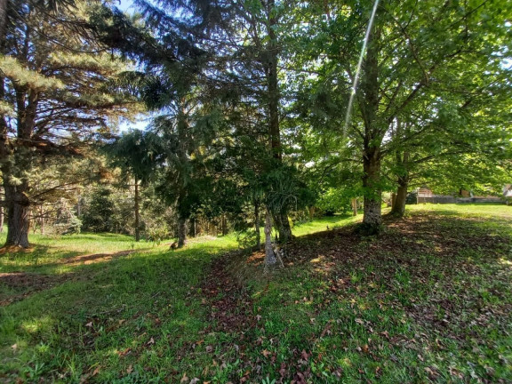 Imagem Fazenda à Venda, 250 m² em Zona Rural - Tijucas Do Sul Imagem Fazenda à Venda, 250 m² em Zona Rural - Tijucas Do Sul