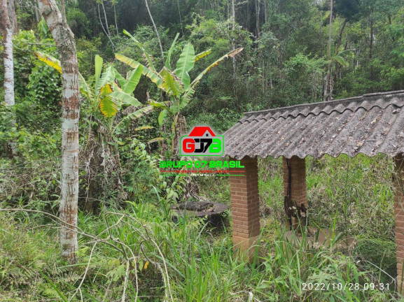 Imagem Chácara à Venda, 16.000 m² em Canaã - Jambeiro Imagem Chácara à Venda, 16.000 m² em Canaã - Jambeiro