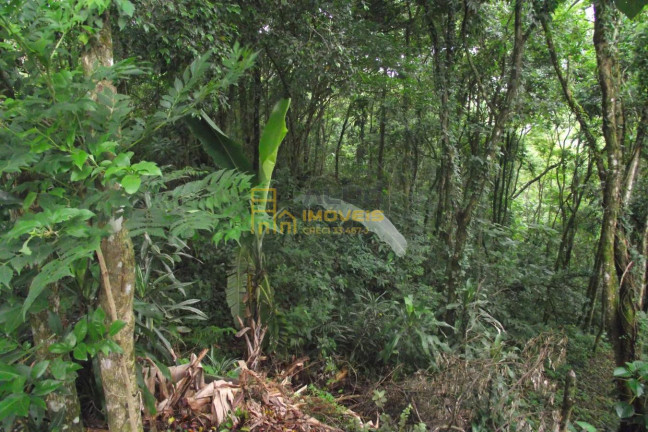 Imagem Terreno à Venda, 2.358 m² em Parque Alvorada - Santana De Parnaíba Imagem Terreno à Venda, 2.358 m² em Parque Alvorada - Santana De Parnaíba