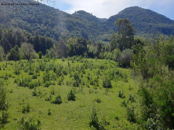 Imagem Terreno à Venda, 8 m² em Linha Temerária - Nova Petrópolis Imagem Terreno à Venda, 8 m² em Linha Temerária - Nova Petrópolis