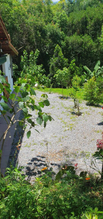 Imagem Chácara com 2 Quartos à Venda, 3.100 m² em Bairro Usina - Pilar Do Sul