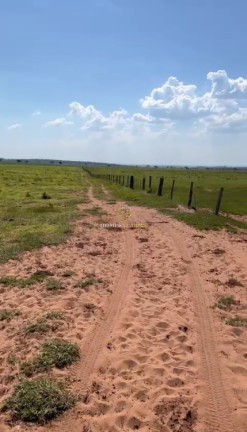 Imagem Imóvel com 3 Quartos à Venda, 1.219 m² em Zona Rural - Amambaí