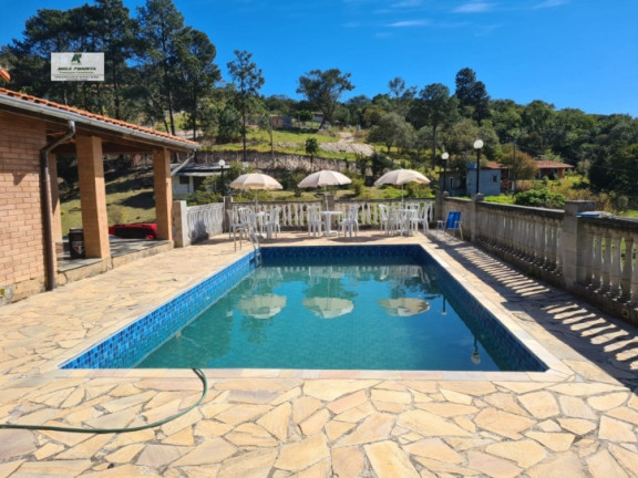 Imagem Chácara com 4 Quartos à Venda, 10.000 m² em Mailasqui - São Roque