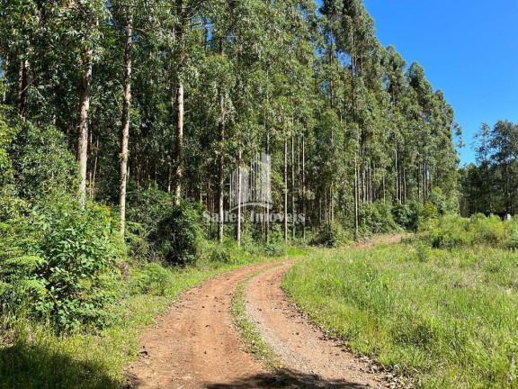 Imagem Imóvel à Venda, 20.000 m² em Centro - Farroupilha Imagem Imóvel à Venda, 20.000 m² em Centro - Farroupilha