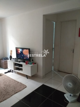 Imagem Apartamento com 2 Quartos à Venda, 54 m² em Jardim Caiapia - Cotia Imagem Apartamento com 2 Quartos à Venda, 54 m² em Jardim Caiapia - Cotia
