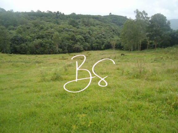 Imagem Terreno à Venda, 70.020 m² em Estrada Serra Grande - Gramado Imagem Terreno à Venda, 70.020 m² em Estrada Serra Grande - Gramado