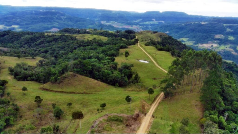 Imagem Imóvel com 2 Quartos à Venda, 950.000 m² em Zona Rural - Presidente Nereu