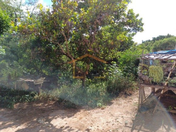 Imagem Terreno à Venda, 794 m² em Parque Das árvores - Cerquilho