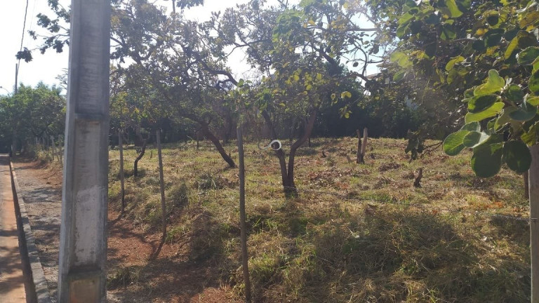Imagem Terreno à Venda, 1.000 m² em Joá - Lagoa Santa Imagem Terreno à Venda, 1.000 m² em Joá - Lagoa Santa