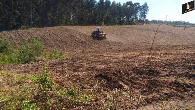 Imóvel com 2 Quartos à Venda, 24.200 m² em Lagoa Dos Ferreira - Mandirituba