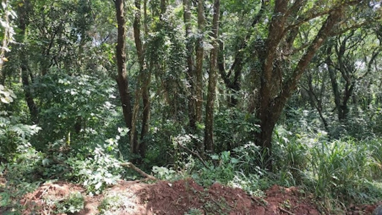 Terreno à Venda, 2.000 m² em Jardim Estância Brasil - Atibaia