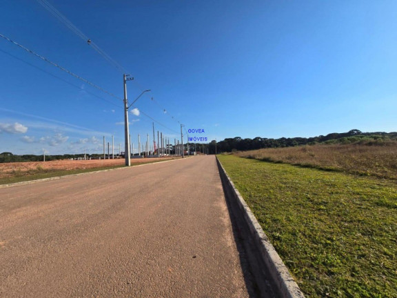 Imagem Terreno à Venda, 3.534 m² em Eucaliptos - Fazenda Rio Grande Imagem Terreno à Venda, 3.534 m² em Eucaliptos - Fazenda Rio Grande