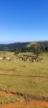 Imagem Imóvel com 5 Quartos à Venda, 2.890.000 m² em Centro - Botucatu