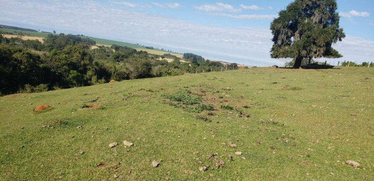 Imagem Chácara com 2 Quartos à Venda, 118 m² em Zona Rural - Angatuba