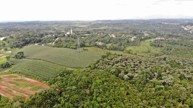 Imagem Terreno à Venda, 19.600 m² em Colônia Faria - Colombo Imagem Terreno à Venda, 19.600 m² em Colônia Faria - Colombo