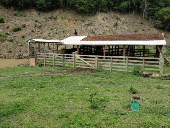 Imagem Imóvel com 3 Quartos à Venda, 250.000 m² em Zona Rural - Bom Retiro