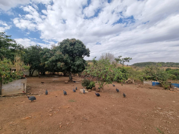 Imagem Fazenda à Venda, 9 m² em Interlândia - Anápolis