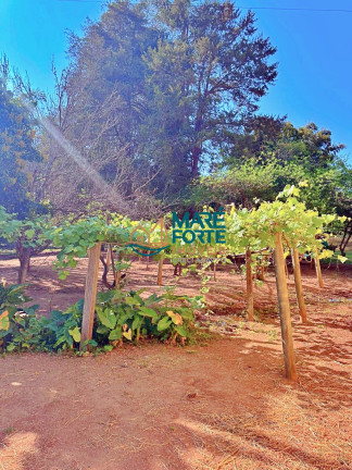 Imagem Fazenda à Venda, 10 m² em Porto - Lagoinha Imagem Fazenda à Venda, 10 m² em Porto - Lagoinha