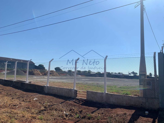 Imagem Terreno para Alugar, 10.000 m² em Vila Nova - Pirassununga Imagem Terreno para Alugar, 10.000 m² em Vila Nova - Pirassununga