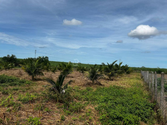 Imagem Chácara com 7 Quartos à Venda, em Centro - Areia Branca Imagem Chácara com 7 Quartos à Venda, em Centro - Areia Branca