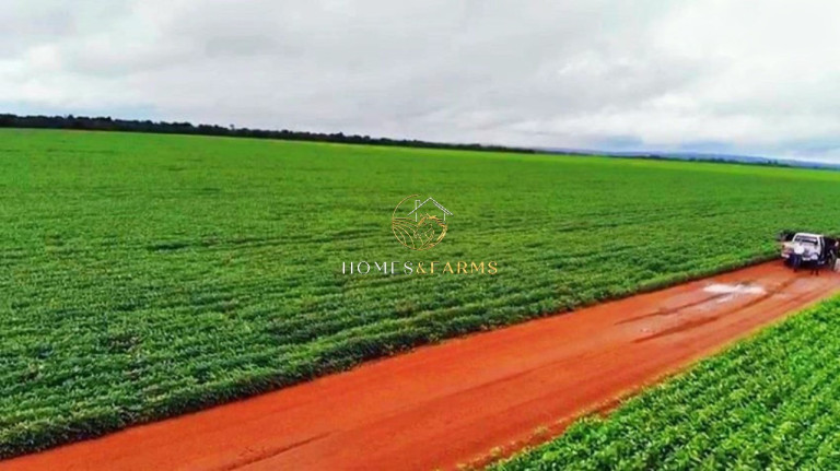 Imagem Imóvel com 3 Quartos à Venda, 90.000 m² em Jardim Primavera - Sinop Imagem Imóvel com 3 Quartos à Venda, 90.000 m² em Jardim Primavera - Sinop