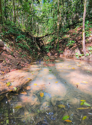 Imagem Imóvel com 2 Quartos à Venda, 200.000 m² em Centro - Acará