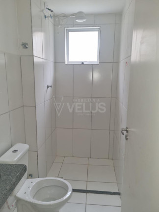 Imagem Apartamento com 2 Quartos à Venda, 60 m² em Vila Hungria - Itapetininga Imagem Apartamento com 2 Quartos à Venda, 60 m² em Vila Hungria - Itapetininga