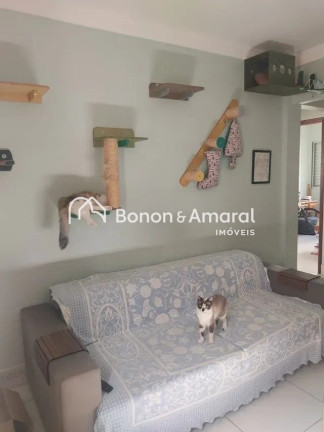 Imagem Apartamento com 2 Quartos à Venda, 62 m² em Vila Itapura - Campinas