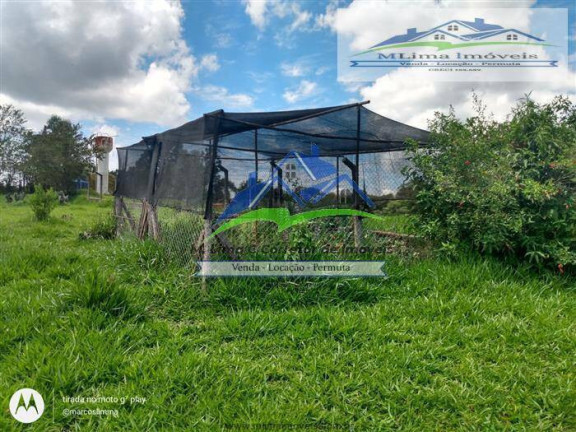 Imagem Chácara com 3 Quartos à Venda, 9.800 m² em Jardim Presidente - Mairiporã Imagem Chácara com 3 Quartos à Venda, 9.800 m² em Jardim Presidente - Mairiporã