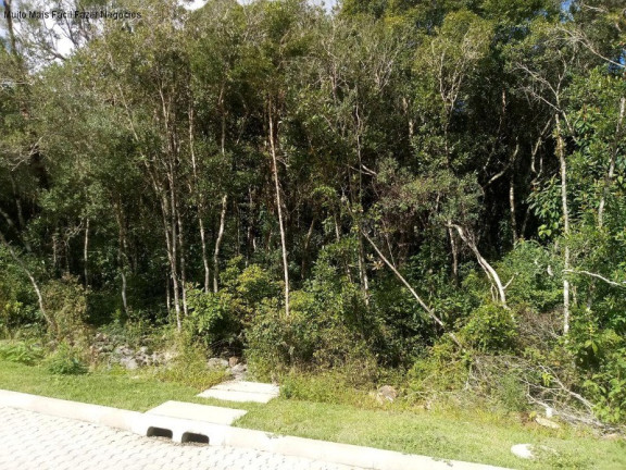 Terreno à Venda, 369 m² em Linha Imperial - Nova Petrópolis