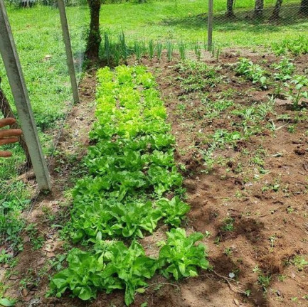 Imagem Imóvel com 3 Quartos à Venda,  em Tijucas Do Sul - Tijucas Do Sul