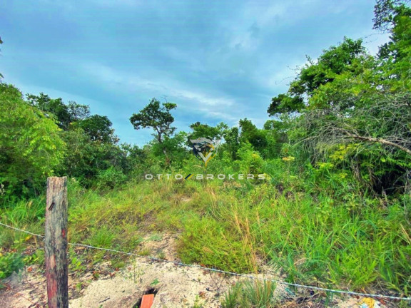 Imagem Terreno à Venda, 375 m² em Nova Cabrália - Santa Cruz Cabrália Imagem Terreno à Venda, 375 m² em Nova Cabrália - Santa Cruz Cabrália