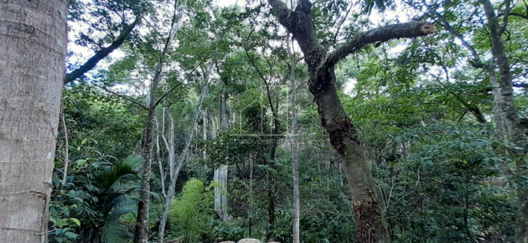 Imagem Terreno à Venda, 4.163 m² em Vargem Grande - Florianópolis Imagem Terreno à Venda, 4.163 m² em Vargem Grande - Florianópolis