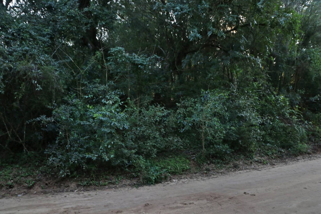 Imagem Terreno à Venda, 1.350 m² em águas Claras - Viamão Imagem Terreno à Venda, 1.350 m² em águas Claras - Viamão