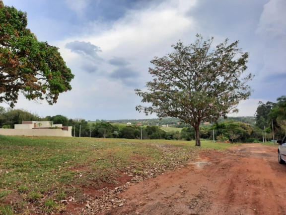 Imagem Terreno à Venda, 450 m² em Centro - Pardinho Imagem Terreno à Venda, 450 m² em Centro - Pardinho