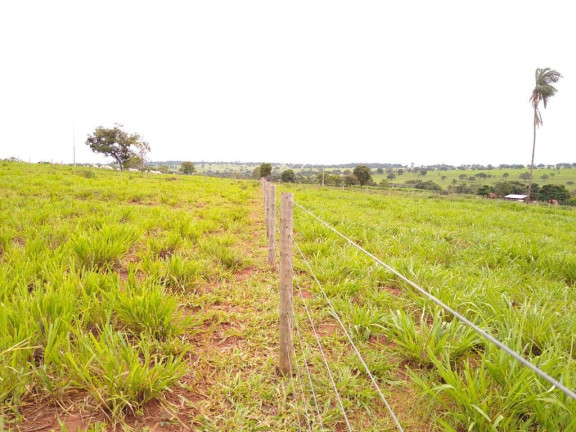 Imagem Fazenda à Venda, 23 m² em Centro - Santa Vitória Imagem Fazenda à Venda, 23 m² em Centro - Santa Vitória