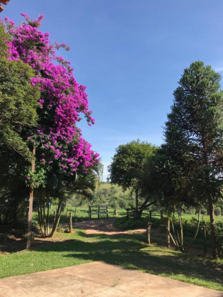 Imagem Fazenda à Venda, 60 m² em Rural - Avaré Imagem Fazenda à Venda, 60 m² em Rural - Avaré