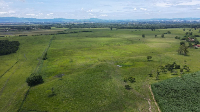 Imagem Fazenda à Venda, 100 m² em Centro - Pindamonhangaba Imagem Fazenda à Venda, 100 m² em Centro - Pindamonhangaba