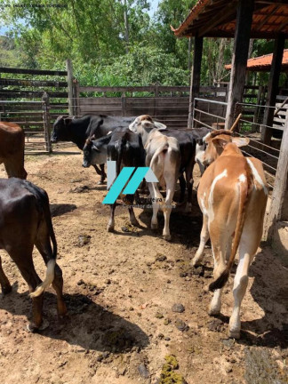 Imagem Fazenda à Venda, 30 m² em Azurita - Mateus Leme Imagem Fazenda à Venda, 30 m² em Azurita - Mateus Leme