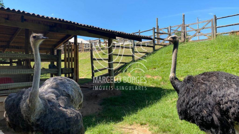 Imagem Casa de Condomínio com 5 Quartos à Venda, 200 m² em Jardim Ermida I - Jundiaí Imagem Casa de Condomínio com 5 Quartos à Venda, 200 m² em Jardim Ermida I - Jundiaí