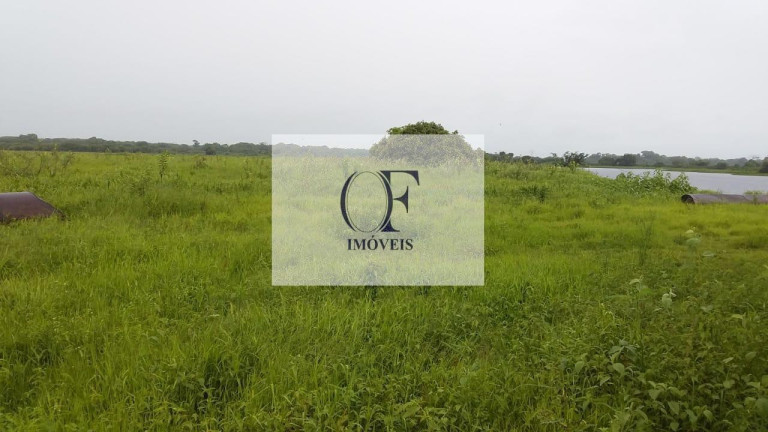 Imagem Fazenda à Venda, 24.000 m² em Pantanal - Corumbá Imagem Fazenda à Venda, 24.000 m² em Pantanal - Corumbá