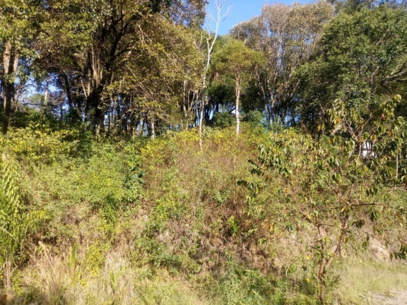 Imagem Terreno à Venda, 1.646 m² em Pousada Da Neve - Nova Petrópolis Imagem Terreno à Venda, 1.646 m² em Pousada Da Neve - Nova Petrópolis